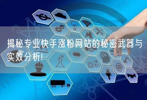 揭秘专业快手涨粉网站的秘密武器与实效分析!
