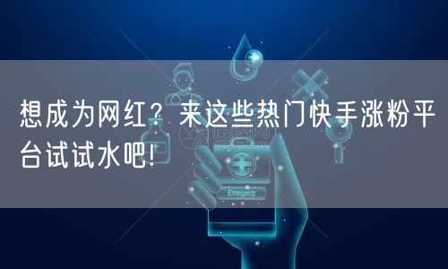 想成为网红？来这些热门快手涨粉平台试试水吧!