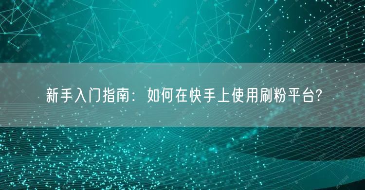 新手入门指南：如何在快手上使用刷粉平台?