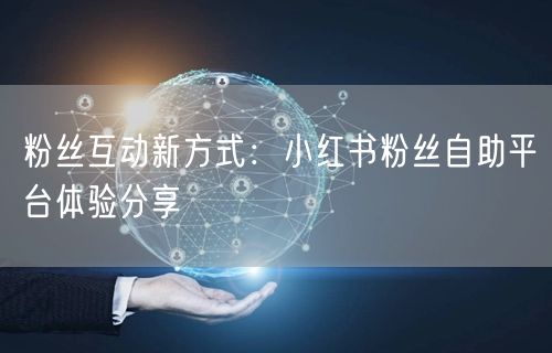 粉丝互动新方式：小红书粉丝自助平台体验分享