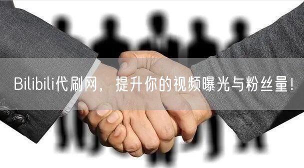 Bilibili代刷网，提升你的视频曝光与粉丝量！