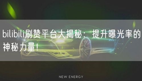 bilibili刷赞平台大揭秘：提升曝光率的神秘力量！