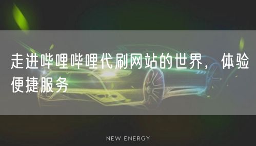 走进哔哩哔哩代刷网站的世界,体验便捷服务