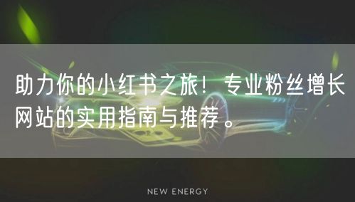 助力你的小红书之旅！专业粉丝增长网站的实用指南与推荐。
