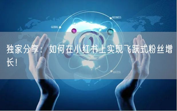 独家分享：如何在小红书上实现飞跃式粉丝增长！