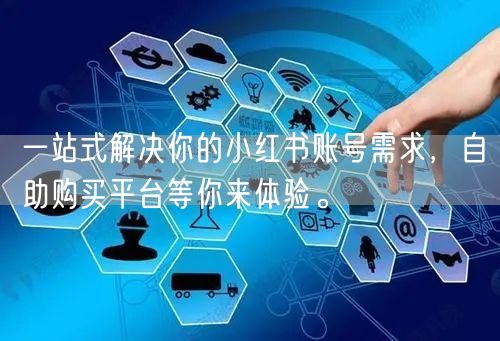 一站式解决你的小红书账号需求，自助购买平台等你来体验。