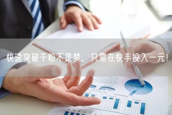 快速突破千粉不是梦，只需在快手投入一元！