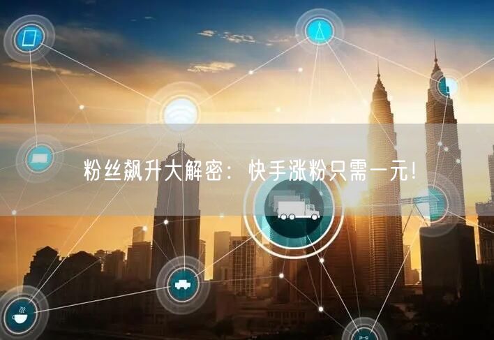 粉丝飙升大解密：快手涨粉只需一元！