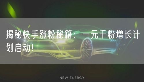 揭秘快手涨粉秘籍：一元千粉增长计划启动！