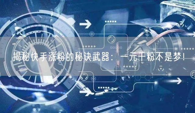 揭秘快手涨粉的秘诀武器：一元千粉不是梦！
