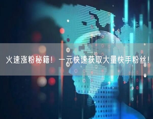 火速涨粉秘籍！一元快速获取大量快手粉丝！