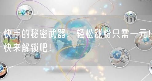 快手的秘密武器！轻松涨粉只需一元！快来解锁吧！