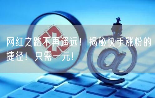 网红之路不再遥远！揭秘快手涨粉的捷径！只需一元！