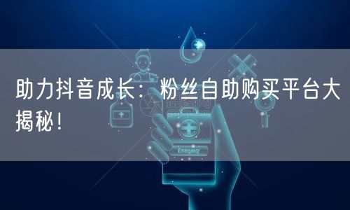 助力抖音成长：粉丝自助购买平台大揭秘！